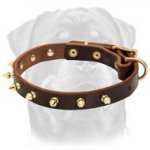 Spiked Dog Collar-Custom Made Dog Accessory for Rottweilers