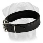Leather Dog Collar Padded with Thick Felt