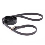 Black Biothane Rottweiler Leash and Collar Combo