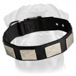 Nylon Dog Collar For Large and Medium Breeds With Vintage Plates