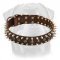 3 Rows Leather Spiked and Studded Dog Collar for Rottweiler