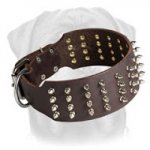 3 inch Custom Spiked Collar for Rottweiler