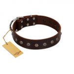"Graceful Classic" Mod FDT Artisan Brown Leather Rottweiler Collar