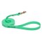 Green Waterproof Rottweiler Leash Made of Biothane