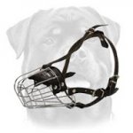 Rottweiler Wire Basket Dog Muzzle
