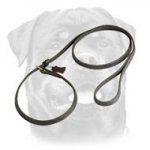 Anywhere Fast Handling leash choke collar combo for Rottweiler