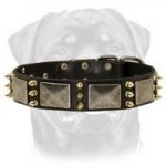 Best Spiked Leather Dog Collar-Massive Look Rusted Nickel Plated Plates