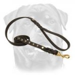 Leather Dog Leash with Studs for Walking, Tracking