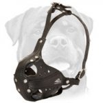 Special Design Muzzle for Rottweiler Training