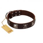 "Nut-Brown Finery" Embellished FDT Artisan Brown Leather Rottweiler Collar with Chrome Plated Crossbones and Plates