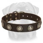 Deluxe Leather Dog Collar with Jewelry for Rottweiler