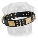 Rottweiler Leather Dog Collar - Old Brass Massive Plates, Nickel Plated Cones and Spikes