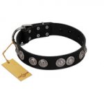 "Magic Amulete" Handcrafted FDT Artisan Black Leather Rottweiler Collar with Chrome-Plated Shields