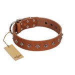 "Broadway" Handmade FDT Artisan Tan Leather Rottweiler Collar with Dotted Pyramids