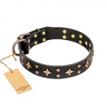 'A La Mode' FDT Artisan Handcrafted Black Leather Rottweiler Collar