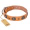 "Twinkle Twinkle" FDT Artisan Incredible Studded Tan Leather Rottweiler Collar