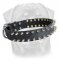 Leather Spiked Dog Collar for Rottweiler