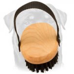 Bristle Dog Brush for Everyday Grooming