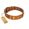 "Egyptian Script" FDT Artisan Tan Leather Rottweiler Collar with Plates and Small Studs