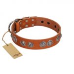"Woofy Majesty" FDT Artisan Tan Leather Rottweiler Collar with Round Silver-like Plates