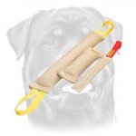 Jute Bite Tugs Training Set
