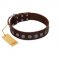"Starry-Eyed" Best Quality FDT Artisan Brown Designer Leather Rottweiler Collar with Small Plates