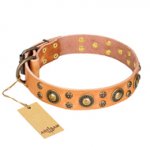 'Sophisticated Glamor' FDT Artisan Rottweiler Tan Leather Dog Collar with Stylish Old-Bronze Plated Decorations