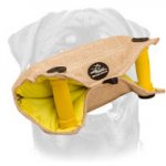 Rottweiler Bite Developer for Safe and Effective Training