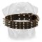 Rottweiler Studded and Spiked Leather Dog Collar