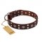 "Pirate Treasure" FDT Artisan Exciting Brown Leather Rottweiler Collar with Studs