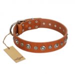 "Gorgeous Roundie" FDT Artisan Tan Leather Rottweiler Collar with Chrome-plated Circles
