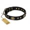 "High Fashion" FDT Artisan Studded with Plates Black Leather Rottweiler Collar