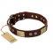 "Shining Armour" FDT Artisan Brown Leather Rottweiler Collar with Decorations