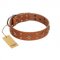 "Dreamy Gleam" FDT Artisan Tan Leather Rottweiler Collar Adorned with Stars and Squares