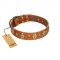 "Venus Breath" FDT Artisan Tan Leather Rottweiler Collar with Vintage Looking Oval and Round Studs