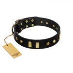 "De Luxe" FDT Artisan Black Leather Rottweiler Collar with Old Bronze-like Plates and Studs