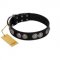 "Magic Amulete" Handcrafted FDT Artisan Black Leather Rottweiler Collar with Chrome-Plated Shields