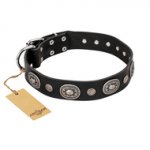 "Black Tie" FDT Artisan Leather Rottweiler Collar with Old Silver-like Decorations