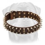 3 Rows Leather Spiked and Studded Dog Collar for Rottweiler