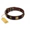 "Crazy Pirate" FDT Artisan Brown Leather Rottweiler Collar with Old Bronze-Plated Skulls and Plates