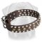 Leather Dog Collar with pyramids and studs