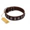 "Spiky Way" FDT Artisan Brown Leather Rottweiler Collar with Silver-Like Decorations