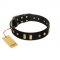 "De Luxe" FDT Artisan Black Leather Rottweiler Collar with Old Bronze-like Plates and Studs