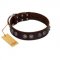 "King Arthur" FDT Artisan Brown Leather Rottweiler Collar with Spiky Plates