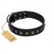 "Natural Beauty" Premium Quality FDT Artisan Black Designer Rottweiler Collar with Dotted Studs