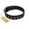 "Silent Star" Handmade FDT Artisan Designer Black Leather Rottweiler Collar with Engraved Plates