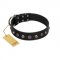"Black Knight" Handmade FDT Artisan Black Leather Rottweiler Collar with Silver-Like Studs