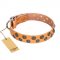 "Precious Sparkle" Exclusive Style FDT Artisan Tan Leather Collar for Stylish Rottweiler Outings