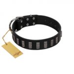 "Black Prince" Handmade FDT Artisan Black Leather Rottweiler Collar with Silver-Like Adornments