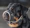 Rottweiler Royal Nappa Leather Dog Muzzle - Safe Walking Muzzle